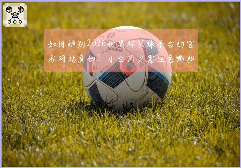 如何辨别2026世界杯买球平台的官方网站真伪？小白用户需注意哪些细节？