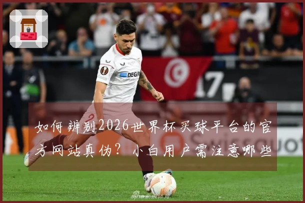 如何辨别2026世界杯买球平台的官方网站真伪？小白用户需注意哪些细节？