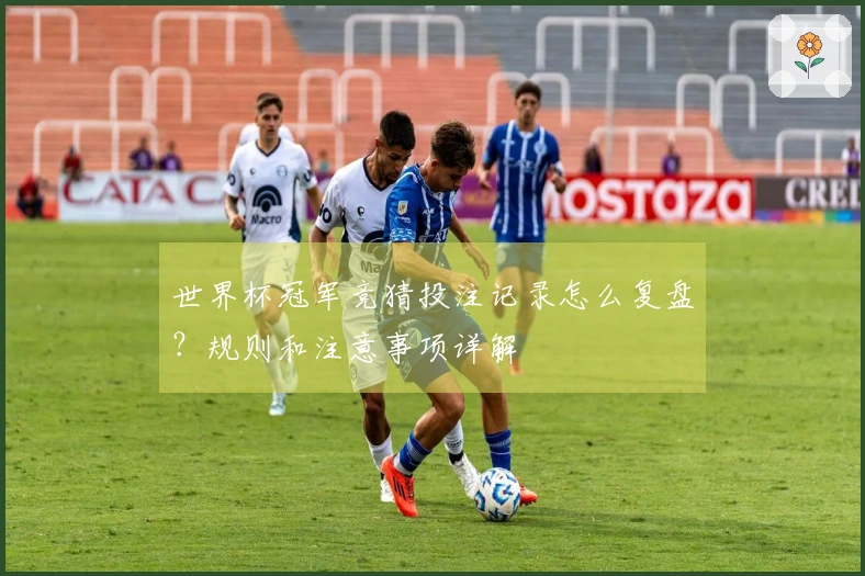 世界杯冠军竞猜投注记录怎么复盘？规则和注意事项详解