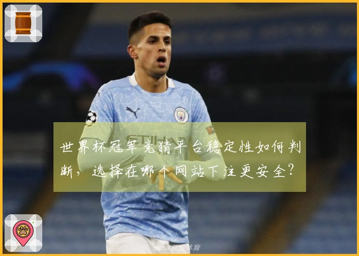 世界杯冠军竞猜平台稳定性如何判断，选择在哪个网站下注更安全？