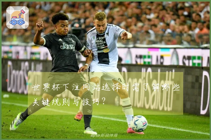 世界杯下注网站选择时需了解哪些关键规则与技巧？
