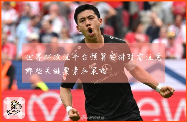 世界杯投注平台预算安排时需注意哪些关键要素和策略