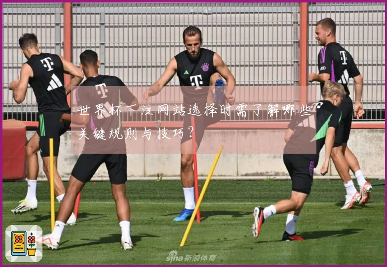 世界杯下注网站选择时需了解哪些关键规则与技巧？
